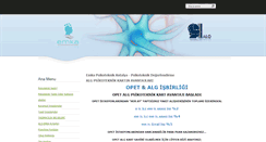 Desktop Screenshot of emkapsikoteknik.com
